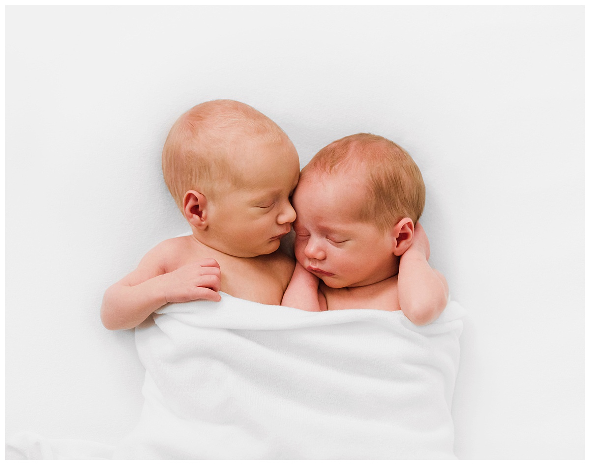 newborn photography boston twin photo session